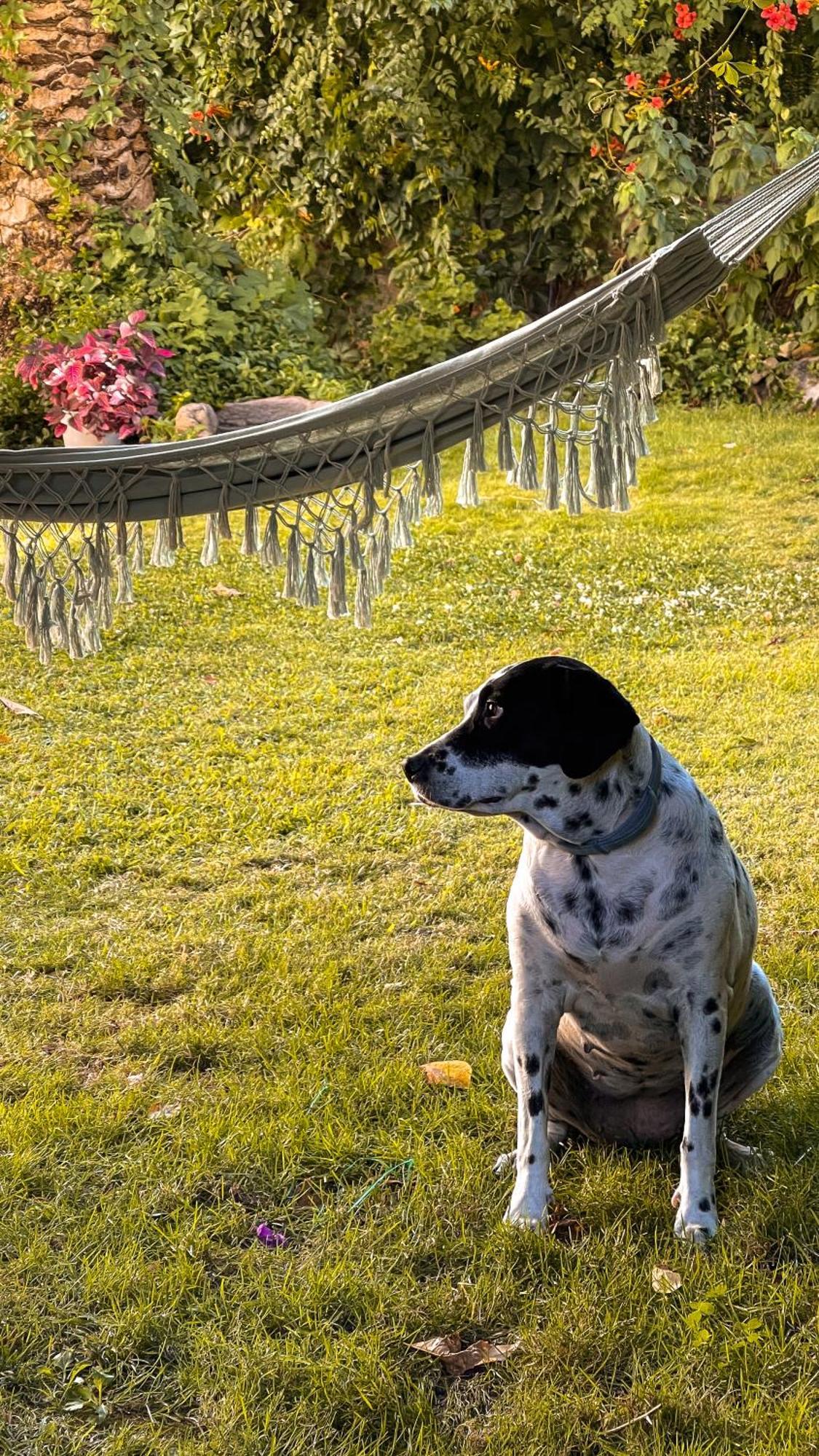 Villa Del Jerte El Torno  Dış mekan fotoğraf